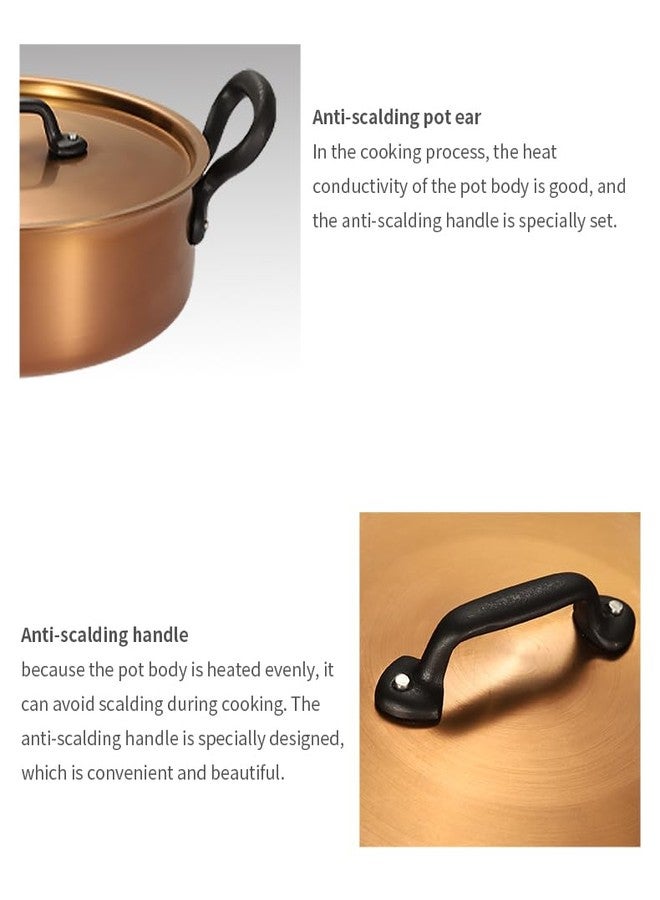 NUTRION Triply Stainless Steel Copper-Toned Non-Stick Cooking Pan with Lid, 2 Handles, 26 cm - Image 5